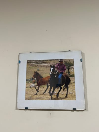 The media file displays a framed photograph hanging on a plain, light beige wall. The framed picture is rotated 90 degrees clockwise relative to the wall, showcasing an outdoor scene. The frame itself appears to be a simple, light-colored or white border, secured to the wall by four small, blue-tinted translucent clips, one near each corner.
Within the framed picture, a man is seen horseback riding. He wears a plaid shirt, blue jeans, and a cowboy hat. He is riding a dark brown or black horse with a white blaze on its face and is holding what appears to be a rope or lead line. Alongside, or slightly ahead of, his horse, a smaller, light brown or chestnut horse is also in motion. Both horses are depicted in a trot or gallop, suggesting an active ride.
The setting of the photograph is an arid or semi-arid natural landscape, characterized by dry, yellowish-brown grass, scattered rocks, and uneven terrain. In the background, distant hills or mountains are visible, along with sparse vegetation and a single small tree. The lighting suggests it is daytime, likely sunny, with clear shadows. There is no discernible text visible in the image. The overall scene suggests a rural or wilderness setting, consistent with the provided location context of San Luis, Peru.