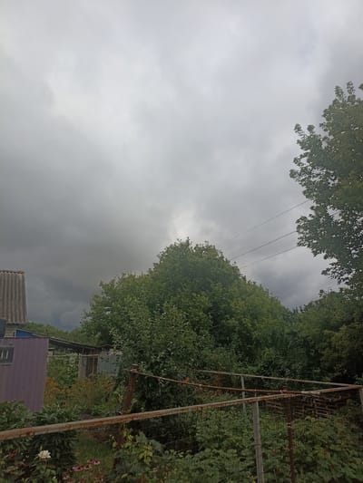 The image depicts an outdoor scene with a focus on a garden area under a cloudy sky. In the foreground, a rusted metal fence with wire mesh encloses a garden featuring green foliage, flowers including pink coneflowers and a white rose, and what appear to be raspberry bushes with red berries. To the left, a portion of a purple metal structure and a corrugated roof structure are visible. Further into the background, more greenery and garden sheds or small buildings are present, interspersed with trees. Power lines are visible stretching across the upper middle section of the frame, against a backdrop of a dark, overcast sky. The overall impression is of a rural or suburban garden setting in overcast weather.