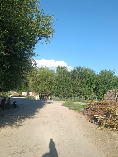 A dirt road runs through a rural area in Altinkul, Uzbekistan. On the left side of the road, a group of four young boys are sitting on a low concrete wall. The boy on the far left is wearing a red shirt. The other three boys are wearing lighter colored shirts. They appear to be interacting with each other, with two of the boys looking at the boy in the red shirt. A large tree casts a shadow over the road and the boys. In the background, there is a dense line of green trees. To the right of the road, a pile of dried branches and brush is visible. The sky is a clear blue with a few white clouds. A shadow of a person, presumably the photographer, is cast on the road in the foreground. The overall scene depicts a casual outdoor gathering in a natural setting.