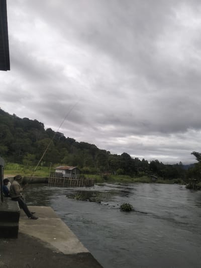 The image depicts a wide, flowing river under a heavily overcast sky. On the left bank, a concrete embankment leads to a small, dark structure. Two people are visible on the embankment. One, a child wearing a blue shirt, sits on the edge. Next to them, an adult in a light-colored jacket and a hat is seated, holding a long fishing rod that extends into the water. The fishing line is taut, suggesting an ongoing activity.
Across the river, a lush green hillside covered in dense trees rises steeply. A small, rustic wooden structure with a corrugated metal roof stands near the riverbank, partially obscured by vegetation. Another small hut or shed is visible further back on the slope. The water appears dark and somewhat choppy, with some aquatic plants floating on the surface.
The overall atmosphere is subdued, likely due to the cloudy weather. The time of day is difficult to pinpoint precisely due to the uniform light, but the overcast conditions suggest it might be late morning or afternoon. The location appears to be rural, with natural elements dominating the scene, consistent with a location in Blang Bebangka, Indonesia. There is no visible text in the image.