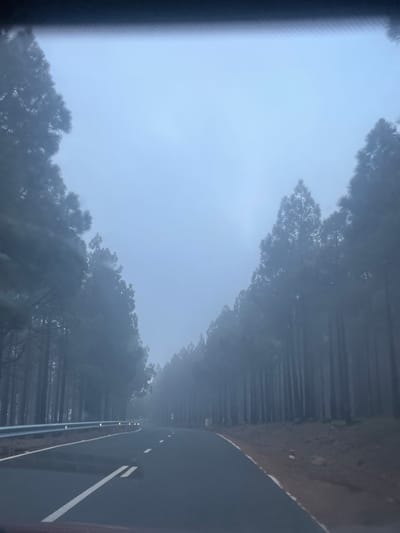 A hazy, foggy day along a road in Agüimes, Spain. Trees are visible along the side of the road. A white line marks the road's edge. Metal guardrails are visible next to the road. The image appears to be taken from inside a vehicle.