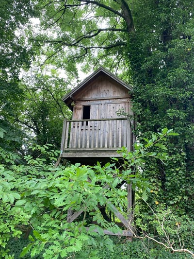 A wooden treehouse is nestled amongst lush green trees in Albertowsko, Poland. The treehouse is constructed from weathered wooden planks and has a peaked roof. A small opening serves as a window, and a railing is visible on the side. The structure is supported by sturdy wooden beams, giving it a rustic and sturdy appearance. The surrounding foliage is dense and vibrant, with various shades of green from leaves and vines. The sunlight filters through the leaves, creating dappled light and shadows on the treehouse and its surroundings. The image suggests a peaceful and secluded setting, possibly a backyard or a wooded area. The time of day appears to be daytime, with bright, overcast sky visible through the leaves. No people or specific activities are depicted in the image. The overall mood is serene and natural, highlighting the integration of the man-made structure with its natural environment.