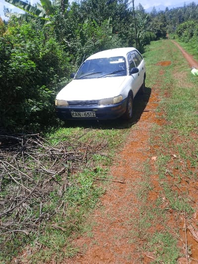 This image, captured in Kiangochi, Kenya, displays a white Toyota Corolla station wagon (Kenya license plate KAN 651Z) positioned off an unpaved, reddish-brown dirt road. The vehicle's front bumper is black, and its headlights appear oxidized with a yellowed tint. Dense green foliage and trees line the left side of the vehicle and extend into the background. A distinct pile of dry, brittle branches lies on the green grass in the foreground, adjacent to the dirt path and directly in front of the vehicle's left side. The dirt road, interspersed with patches of green grass, recedes into the background, where additional trees, power lines, and distant hills are visible under daylight conditions. No individuals are clearly discernible within the frame.