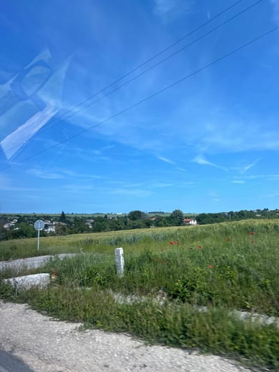 The image depicts a bright, sunny daytime scene of a rural or semi-rural landscape, likely captured from a moving vehicle. The upper portion of the frame is dominated by a clear blue sky, featuring sparse, wispy white clouds. Three dark power lines stretch diagonally across the sky from top left to bottom right. In the lower left quadrant, a strong reflection is visible on what appears to be a vehicle's window or dashboard, showing indistinct outlines.
The right side of the image showcases a vibrant green field, possibly an agricultural area or meadow, stretching horizontally across the mid-ground. Scattered within this lush greenery are bright red poppies and other small yellow flowers. Further back, a line of green trees partially conceals several white-walled houses or buildings, indicating a small settlement or village in the distance.
Along the immediate foreground on the right, a grey, textured surface, resembling a road or path, runs parallel to the field. Several white stone markers or posts are interspersed at the boundary between the road and the green expanse. On the left side, a round grey sign on a pole is visible in the mid-ground. The overall scene suggests a tranquil journey through a verdant countryside. No discernible text is visible in the image. Given the provided context, the scene is located in Kumanovo, Bulgaria.