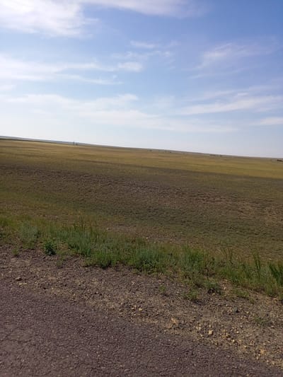 A wide, open grassland under a bright blue sky with scattered white clouds. The terrain is gently rolling, with the foreground showing a dirt or gravel road and some green grass growing along its edge. The mid-ground and background are vast expanses of dry, muted green and brown grass, suggesting a steppe or prairie landscape. In the distance, a tall, slender structure, possibly a pylon or a wind turbine, is visible on the horizon. There are no people or animals clearly discernible in the image. The lighting indicates it is daytime, likely late morning or early afternoon, with clear weather conditions. The overall impression is one of solitude and natural expanse. The location context provided is Тоғызқұдық, Kazakhstan. There is no visible text within the image.