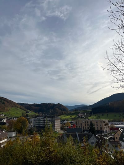 The image displays a panoramic view of the town of Oppenau, Germany, situated in a valley surrounded by hills. The sky is partially overcast with a mix of light grey and white stratocumulus clouds, showing brighter illumination towards the upper right quadrant.

In the immediate foreground, dark green and orange-yellow deciduous tree foliage partially obscures the lower section of the scene, with distinct bare tree branches visible along the far right edge of the frame, extending into the sky.

The midground consists of the town's built environment. Multiple buildings are present, including a multi-story structure on the left with a grey facade and horizontal windows, alongside a lighter beige/tan section. To its right, another modern, four-to-five-story building with a light brown/tan facade and dark windows is prominent. Numerous residential structures with pitched, dark-tiled roofs and light-colored facades are scattered throughout the town area. Roads and parking areas are visible between structures. Deciduous trees displaying autumn colors (yellow, orange, and red foliage) are interspersed among the buildings, with a notable red-leafed tree near the center-right. No individuals or specific actions are discernible.

The background features rolling hills that define the valley. These hills are covered by a combination of dark green coniferous forests and lighter green grassy areas, indicative of meadows or fields. Patches of deciduous trees on the hillsides exhibit autumn hues of orange and brown. Distant hills appear bluer due to atmospheric perspective. A slender, mast-like structure, potentially a communication tower, is visible on a mid-left hillside. Smaller, indistinct buildings are sparsely distributed on some of the green slopes. The scene is illuminated by diffused natural light, consistent with an autumnal day.