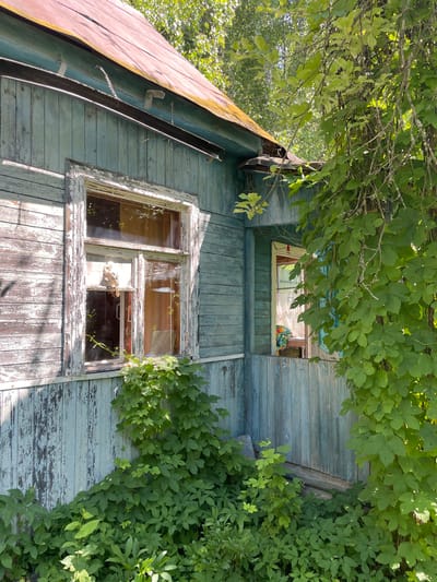 The image depicts the weathered exterior of a dilapidated wooden house, painted a faded blue with peeling paint, situated in the village of Турово, Russia. A rusty, reddish-brown metal roof slants upwards to the left. A large window with a broken pane and visibly damaged white trim dominates the left side of the house, with green foliage growing up around its base. To the right, a smaller window is visible, partially obscured by a vine-covered tree with lush green leaves that also overhangs the scene from the right. The surrounding environment appears overgrown with dense green vegetation. Sunlight casts shadows, suggesting it is daytime.