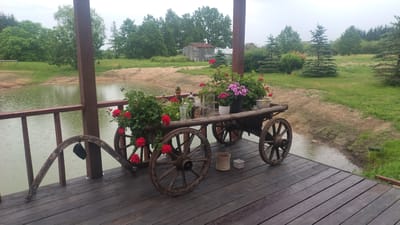 This is a medium shot of a rustic wooden cart filled with flowers on a wooden deck overlooking a pond. The cart has two large spoked wheels and is laden with potted red and pink geraniums, as well as some smaller plants. A glass vase and a mug are also visible on the cart. A curved wooden yoke with a dark object hanging from it is placed in front of the cart. The deck overlooks a still, green pond, and beyond that, a grassy area with scattered trees and a distant wooden building. The weather appears overcast, and light rain is falling, creating ripples on the pond's surface. The overall atmosphere is tranquil and serene, suggesting a peaceful, rural setting. The location is Piekūni, Latvia.