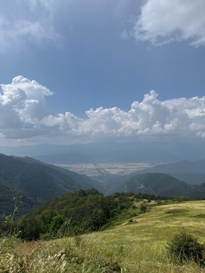 The image depicts a scenic vista overlooking a valley in Hristo Danovo, Bulgaria. In the foreground, a grassy meadow slopes gently upwards, dotted with wildflowers and tall dry grass. Beyond the meadow, a dense, dark green forest covers the sides of rolling hills, leading the eye towards the valley floor. The valley itself appears to be an agricultural area, with fields of muted yellow and brown stretching out. In the distance, multiple layers of hazy blue mountains recede towards the horizon under a bright blue sky punctuated by fluffy white cumulus clouds. The overall scene is one of natural beauty and tranquility.