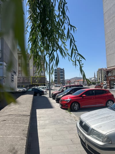 The image depicts a street scene in Kayseri, Turkey, on a clear, sunny day. In the foreground, a low, rough stone wall runs along the left side of the frame. A paved sidewalk runs adjacent to the wall. A variety of parked cars are visible on the street, including a red hatchback, a silver sedan, and a dark-colored sedan. The background reveals a city environment with buildings of varying heights and architectural styles, including some taller modern structures and older buildings with multiple windows. A mosque with a minaret is visible in the distance, along with some hilly terrain. Lush green foliage from a weeping willow tree hangs down into the upper portion of the frame, obscuring parts of the sky and buildings. The overall impression is one of a typical urban setting in Kayseri.