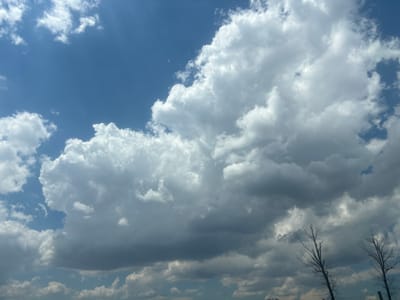 A bright blue sky is filled with an abundance of fluffy white and grey clouds. The clouds are dense, with some appearing darker and more ominous, suggesting potential rain. In the lower right corner of the image, silhouetted against the cloudy sky, are the bare branches of two leafless trees, indicative of a winter or early spring season. The overall scene captures a dramatic and dynamic sky.