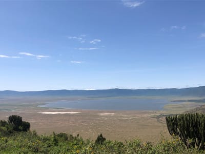 The image shows a panoramic view of a large lake with a long, shallow shoreline, situated in a broad depression, with a distant mountain range beyond the lake. The scene is located in the Ngorongoro Crater, Tanzania, at coordinates latitude -3.155, longitude 35.477. The lake is surrounded by dry grasslands, with sparse vegetation growing around the lake's edge.  In the foreground, a line of tall, slender trees (possibly Euphorbia candelabrum) grows on the edge of the depression, while the foreground is covered in low-lying vegetation. The sky is clear blue, with a few wispy clouds.  No people are visible in the image.