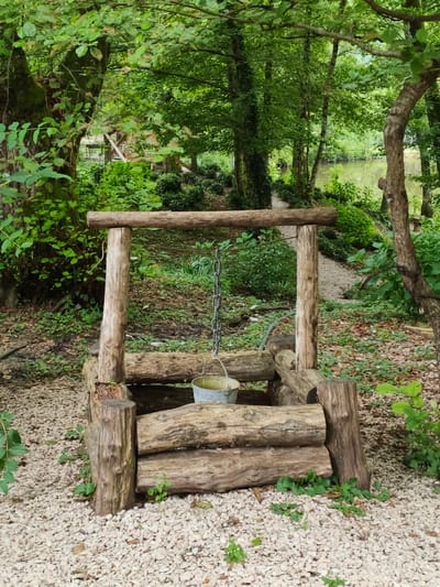 A rustic wooden well with a metal bucket hanging by a chain is situated on a bed of white gravel in a wooded area. The well is constructed from rough-hewn logs, with two vertical posts supporting a horizontal beam. Behind the well, a path winds through lush green foliage, leading towards a body of water that appears to be a lake or pond. The surrounding trees are dense with leaves, creating a shaded and natural environment. The overall scene suggests a tranquil, natural setting, possibly in or near the city of Kalinovoye ozero, Russia, given the context. There are no people or animals visible in the image, and no actions are taking place.