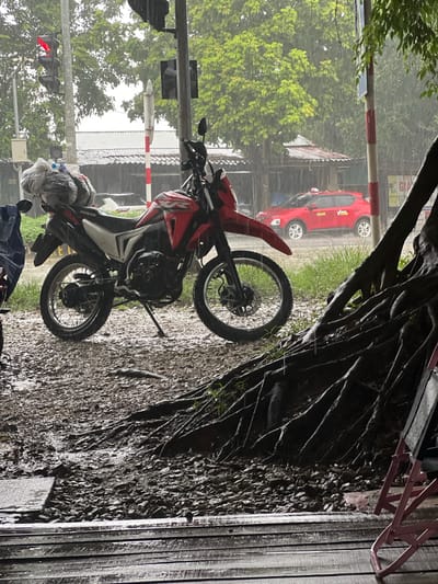 In Tam Dương, Bắc Vietnam, during a heavy rain shower, a red and white Honda dirt bike is parked on a gravel surface. The motorcycle has a large bundle of items wrapped in plastic and black bags secured to its rear seat. To the left of the motorcycle, a blue tarp covers an unseen object. In the background, a red taxi with a white roof sign is visible on a wet road, and trees with lush green foliage line the street. A traffic light with a red illuminated signal stands to the left. In the foreground, the exposed roots of a large tree dominate the right side of the image, with a pink folding chair partially visible. The ground and surfaces are wet from the rain, and water is clearly visible falling in the air.