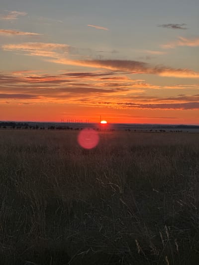 The image depicts a sunset over a rural landscape in Bereznyakovka, Kazakhstan. The sky is filled with vibrant orange and pink clouds, with the sun setting on the horizon. In the distance, a line of wind turbines stands silhouetted against the bright sky. The foreground is dominated by a field of tall, dry grass, which appears dark and somewhat shadowy. A circular red lens flare is visible in the middle ground, obscuring a portion of the field and the distant horizon. The overall impression is one of a serene, natural setting at the end of the day.