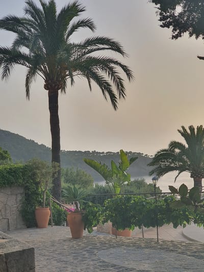 The image shows a tropical scene with palm trees in the foreground and a hazy, mountainous landscape in the background. The sky is a pale, overcast gray, suggesting either dawn or dusk, or a generally hazy day. The orientation of the image is vertical.

In the foreground, a large palm tree with a thick trunk and long, feathery fronds dominates the left side of the frame. Its fronds reach upwards and to the left, creating a dynamic silhouette against the sky. To the right, there are several potted plants arranged along a stone pathway. These include a dense green hedge or climbing plant in a large terracotta pot, and other smaller potted plants with leafy foliage.

Further back, another palm tree is visible, its fronds framing the upper right portion of the image. Beyond the plants and the foreground trees, a gentle slope covered in lush green vegetation rises up to form a mountain range. The haze in the atmosphere softens the details of the distant landscape, giving it a somewhat ethereal quality. A lamppost is visible between some of the potted plants and the mountain.

The scene appears to be outdoors, possibly in a garden or patio area, given the stone pathway and potted plants. The overall mood is serene and tranquil, with a touch of exoticism due to the presence of palm trees. No people are visible in the image, and there is no visible text. The location context of Deià, Spain, suggests a Mediterranean setting, which is consistent with the visual elements.