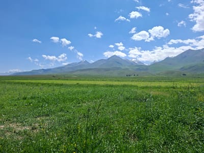 This media file depicts a scenic view of rolling green hills leading to a majestic mountain range under a bright blue sky dotted with fluffy white clouds. The foreground is dominated by a lush, vibrant green field, dense with tall grasses and interspersed with small yellow and white wildflowers. The field appears to be a pasture or a meadow. In the middle ground, the terrain transitions to gently sloping hills, also covered in green vegetation, with some patches of yellow, possibly indicating blooming crops or different types of flora.

Further in the distance, the imposing mountain range rises, its peaks capped with snow, suggesting a significant elevation and a cool climate. The mountains are layered, with several distinct ridges visible. The sky is a clear, bright blue, indicative of a sunny day, likely during the daytime. The overall atmosphere is serene and natural, evoking a sense of peace and the beauty of untouched landscapes. There are no visible people or man-made objects that are prominent, emphasizing the natural environment. The location is suggested to be Toguz-Bulak, Kyrgyzstan, which aligns with the mountainous terrain and vast green landscapes often found in Central Asian countries. The image captures a tranquil moment in a natural setting, showcasing the grandeur of mountains and the abundance of nature.