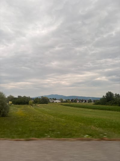 The image depicts a wide, horizontal shot of a rural landscape under an overcast, cloudy sky. In the foreground, a blurred band of grey and brown suggests a road or path. Beyond this, a vibrant green field stretches out, dotted with small white and yellow wildflowers. The middle ground features a line of lush green trees and vegetation, with a few buildings visible amongst them. Further in the distance, a low mountain range forms the backdrop, its peaks softened by the atmospheric conditions. A small town or village is nestled at the foot of the mountains, with hints of roofs and structures. The overall impression is one of a serene, undeveloped countryside.