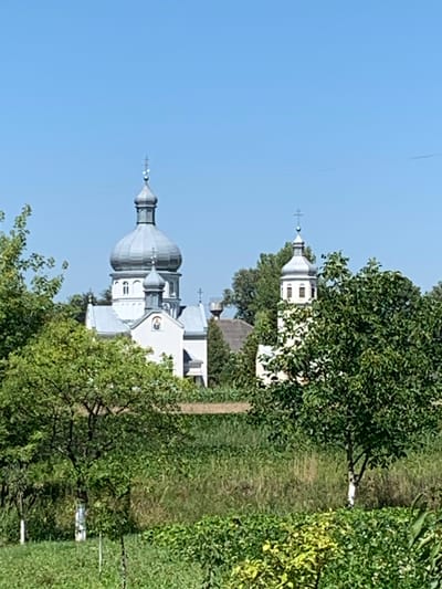 The image shows two churches in Piadyky, Ukraine, set against a clear blue sky. In the foreground, lush green trees and foliage dominate the scene, with some of the trees having white-painted bases. The larger church, on the left, features a prominent gray dome topped with a cross, and a smaller, connected dome also capped with a cross. It is a white building with gray accents around its windows and roof. To the right of the larger church stands a taller, slender bell tower, also painted white with gray trim and a cross at its apex. This bell tower has multiple windows. The background consists of a field of tall grass and more trees, creating a pastoral setting. The lighting suggests it is daytime, likely late morning or early afternoon, with the sun casting soft shadows. There are no people or animals visible in the frame.