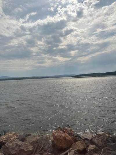 The image shows a wide, calm body of water, possibly a lagoon or a bay, with a shoreline of rocks and sparse vegetation on the right. The water surface is rippled, reflecting the light of the sky, and appears to be a murky gray-blue color. Several thin, dark vertical poles are visible in the water, likely marking a channel or a fishing area.
The sky on the left is filled with dramatic, elongated clouds, some appearing thin and wispy, others more dense and textured, suggesting a partly cloudy or overcast day. The light filtering through the clouds creates bright patches and shadows, indicating it is likely daytime, possibly late morning or afternoon.
In the distance, a dark, tree-covered landmass or hill forms a horizon line. Further in the background, faint, hazy mountain shapes are visible, suggesting the location is near a coastal area with some elevation inland.
The foreground on the right features a collection of rough, irregular rocks, ranging in color from dark gray to reddish-brown. Some dry, thin reeds or twigs are also scattered among the rocks. The overall mood of the image is serene and natural, with a focus on the interplay between the sky, water, and land. No people or specific objects that would indicate a particular activity are clearly visible. The location is identified as Port-la-Nouvelle, France. There is no visible text in the image.