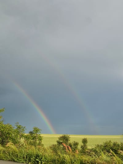 The image captures a scene of a double rainbow in the sky next to a grassy field with trees and bushes, possibly in Mlada Gvardia, Bulgaria. The sky is predominantly gray with patches of blue where the rainbows are visible. The vibrant colors of the rainbow contrast with the overcast sky. On the right side of the image, a field with green grass is bordered by trees and bushes. The overall composition is a landscape view with a natural phenomenon occurring against a backdrop of vegetation.