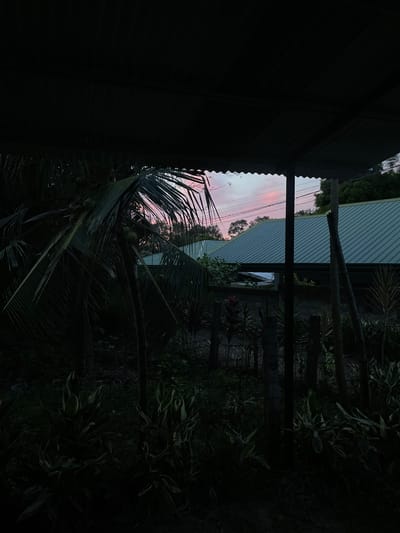 The image depicts an outdoor scene at dusk, likely in Bacong, Philippines, characterized by low light conditions. In the foreground, a dark, corrugated roof structure casts a shadow over the scene. To the left, a palm tree with coconuts is visible, its fronds extending into the frame. The middle ground features lush, dark green foliage and a portion of a building with a teal-colored corrugated metal roof. A concrete wall and a fence are also discernible. The sky above displays a soft pink and pale blue gradient, indicating sunset or sunrise. Electrical wires are strung across the upper portion of the image. The overall impression is one of a tranquil, tropical evening in a residential area.
