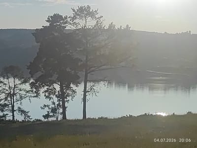The image shows a serene landscape with trees silhouetted against a hazy sky. In the foreground, a grassy hill is visible, with several tall trees on its crest. The middle ground features a large body of water, possibly a lake or river, reflecting the muted light. In the background, a distant, softly lit hill outlines the horizon. The overall atmosphere is peaceful and tranquil. The date and time stamp in the bottom right corner reads "04.07.2026 20:06". No people or specific man-made structures are discernible within the main body of the image, suggesting a natural setting.