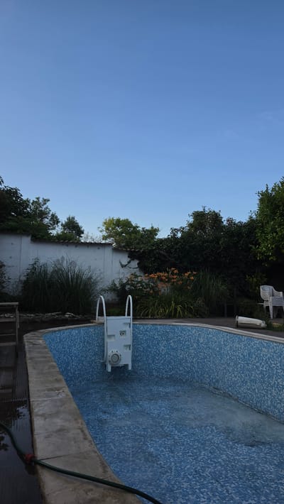 The image shows an empty swimming pool with blue tiled walls, located in the city of Rogachevo, Bulgaria. A white ladder with handrails is submerged in the shallow end of the pool. A white filter system is attached to the pool wall. The area around the pool is paved with concrete. Beyond the pool, a white stucco wall runs along the perimeter of the property, with lush green foliage and trees growing behind it. Orange flowers are visible along the wall, and a stack of white plastic chairs is placed in the background. The sky above is clear and blue.