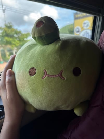The image shows a close-up of a light green, round plush toy with embroidered features, resembling a kawaii avocado. It is placed near a window, with hands visible on the left side, holding the plush toy. Through the window, a blurry outdoor scene with trees and a sign can be seen. The plush toy has two dark brown circular eyes, a light pink stitched mouth with a slightly curved shape, and on top of its head, it has a darker green cap with a brown circular patch, mimicking an avocado pit. The plush toy appears to be sitting or propped up against something dark, possibly a piece of clothing or upholstery, visible on the right. The overall lighting suggests an indoor setting looking outwards. The location in Pleiku, Vietnam, is not explicitly visible in the image itself but is provided as context.