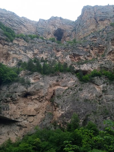 The image depicts a view of a majestic, sheer cliff face in Khushto-Syrt, Russia. The cliff is composed of layered rock, with varying shades of brown, tan, and grey, indicative of geological stratification. Patches of vibrant green vegetation, including trees and shrubs, cling to ledges and crevices, adding a stark contrast to the rock's texture. A notable feature of the cliff is a large, dark cavern or opening near the top. The sky above is overcast, casting a soft, diffused light over the landscape. The foreground is dominated by lush green foliage, suggesting the viewpoint is from a lower elevation, possibly a valley or the base of the cliff. There are no people or man-made structures visible in the frame, emphasizing the natural grandeur of the mountainous terrain.