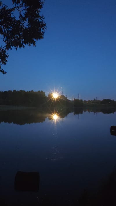 The image depicts a tranquil twilight scene over a body of water, likely a river or lake, in or near Щапово, Russia. A dark, silhouetted tree branch with leaves hangs from the upper left corner, against a deep blue twilight sky. The water's surface is calm and reflective, mirroring the sky and the distant landscape. On the far bank, a line of trees creates a dark silhouette. In the mid-ground, a bright, starburst-shaped light emanates from a source on the horizon, possibly a street lamp or industrial lighting. This light is sharply reflected in the water below, creating a symmetrical visual effect. The reflected light is a strong focal point in the composition. The overall atmosphere is one of quietude and fading daylight, with hints of distant infrastructure or town lights visible on the horizon behind the trees. There are no people or animals visible in the frame.