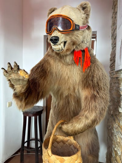An indoor scene in Novoabzakovo, Russia, displays a full-body taxidermy of a brown bear positioned upright. The bear wears orange-framed ski goggles with dark lenses, and an orange fringed scarf or fabric is draped around its neck. Its mouth is agape, exposing teeth and gums. The bear's left paw is raised, extended outwards, revealing claws and a lighter-colored pad. Its right paw is positioned to hold the handle of a light-colored, woven basket, likely made from birch bark, which rests near the bear's right side. In the background to the left, a white wall features a beige light switch and a dark brown wooden stool with three legs. To the right, a wall section exhibits a textured, stacked stone finish. A dark wooden doorframe is visible in the mid-background between the white and stone walls.