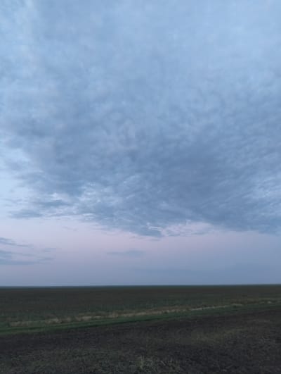 A wide-angle, low-light photograph captures a desolate landscape under a cloudy sky. The foreground is dominated by dark, tilled soil, with patches of green vegetation and a narrow strip of dry grass bordering a cultivated field. The field itself appears as a darker expanse of green, stretching towards the horizon. The sky is a soft gradient of muted blues and pinks, with a textured layer of clouds that obscure any direct sunlight. The scene suggests an early morning or late evening setting. The location is identified as a rural area near Titov, Kazakhstan, characterized by flat terrain and agricultural land. No people or any dynamic elements are present in the image.