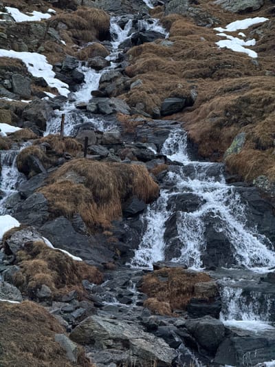 This detailed image captures a rugged, steep mountain face in Poschiavo, Switzerland, characterized by a dynamic interplay of rock, water, and sparse vegetation. The predominant elements are dark grey and black rocks, which form the core structure of the slope. Interspersed among these rocks are extensive patches of dry, brown, and golden grass, clinging to the uneven surfaces.

Multiple streams of white, turbulent water cascade down the rock face, forming a series of small waterfalls and rapids. The water flow is vigorous, indicating melting snow, ice, or recent precipitation. Patches of white snow and ice are visible on ledges and in crevices, particularly in the upper left and lower portions of the image, confirming cool or cold weather conditions.

Several small, weathered dark objects, resembling wooden posts or beams, protrude from the rock face in the lower central and right-hand areas, suggesting past human activity or infrastructure, though they are now integrated into the natural decay.

The scene is entirely natural, with no visible human or animal activity. The lighting is diffused and soft, without harsh shadows, possibly indicating an overcast day. The overall impression is one of a wild, untamed, and high-altitude alpine environment, showcasing the raw power and textures of nature. There is no visible text.