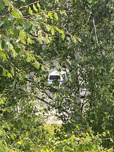 The image shows a white van with blue and red stripes, possibly a police vehicle, parked behind a dense foliage of green trees. The van is partially obscured by leaves and branches, making it difficult to see the full details. The environment appears to be outdoors, with the sunlight filtering through the leaves, suggesting it's daytime. The location is identified as Beloretsk, Russia. No people are visible in the image.
