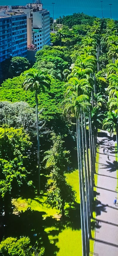 This aerial image depicts a lush green park lined with tall palm trees, with a building and the ocean visible in the background. On the right side of the park, a paved path is visible, with a few individuals walking and cycling. Shadows of palm trees are cast across the path. The building on the left appears to be an apartment complex or hotel, with multiple stories and windows. The ocean stretches across the horizon behind the park and buildings. The scene suggests a sunny day in a tropical or subtropical urban environment. The location is NOT Lippstadt, Germany, as Lippstadt is an inland city and does not have palm trees or an ocean.