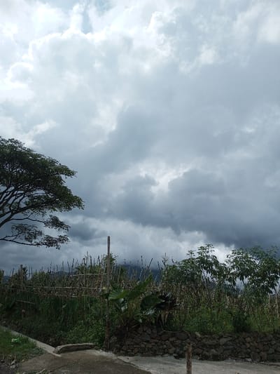 This image captures an overcast, rural or semi-rural landscape in Cibadak, Indonesia. The sky is dominated by extensive, dark grey clouds, indicating heavy cloud cover or impending rain. In the foreground, a light-colored concrete surface, possibly a path or road edge, runs across the bottom, with a concrete drainage ditch adjacent to it. A patch of green grass is visible on the far left. Two vertical wooden or bamboo posts are present in the lower frame, one on each side of the concrete path. Immediately beyond the path and ditch, a low retaining wall constructed of dark, irregular stones is visible. Behind this wall, dense vegetation includes broad-leafed plants, tall grassy stalks, and bushes with lighter green foliage. A rudimentary fence made of horizontal and vertical bamboo or slender wooden stakes is partially visible within this vegetation. On the far left, a large tree with dark green leaves and visible branches extends into the upper left quadrant. In the background, dark, indistinct forms of mountains or hills are discernible, partially obscured by the atmospheric conditions. No individuals or animals are present.