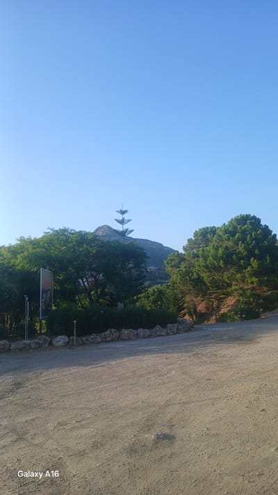 The image captures a bright, sunny day with a clear blue sky over a landscape that includes a dirt road in the foreground, dense green foliage, and rolling hills in the background. A distinct, tall tree with a spiky silhouette stands out among the trees. A sign is visible on the left side of the image, partially obscured by greenery. Rocks line the edge of the road, and tire tracks are imprinted on the dirt surface. The "Galaxy A16" watermark is present in the bottom left corner, indicating the device used for capture. The scene appears to be in Montemayor, Spain, a location known for its natural beauty and hilly terrain.
