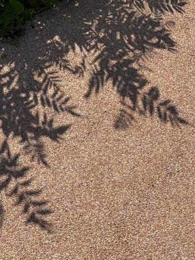 The image depicts the shadow of fern leaves cast upon a gravelly surface. The gravel is a mix of light brown and tan hues, with individual stones clearly visible. The shadows are dark and well-defined, suggesting a bright, sunny day. The fern fronds are feathery and delicate, creating an intricate pattern of light and shadow. In the bottom left corner of the frame, a patch of green foliage is visible, indicating that the fern is likely growing nearby. The overall impression is one of natural beauty and tranquility, with the interplay of light and shadow creating a dynamic and visually interesting composition. The image appears to be taken outdoors, likely in a garden or park setting. The time of day is suggested to be daytime due to the clear shadows, and the weather is sunny. No text is visible in the image.
