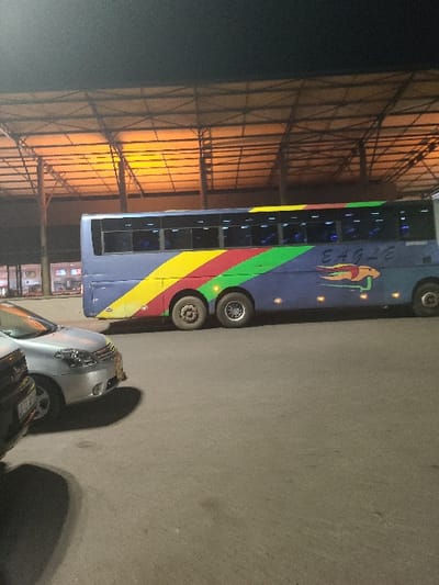 The image, originally oriented vertically and rotated 90 degrees counter-clockwise, depicts a nighttime scene at what appears to be a bus terminal, depot, or large parking area adjacent to a significant structure.
The main subject is a large, blue passenger bus positioned horizontally across the mid-ground of the frame. The bus features a vibrant design with horizontal stripes of green, red, and yellow running along its lower side. On the upper part of the bus, towards the front, the word "EAGLE" is prominently displayed in white lettering. Adjacent to the text is an emblem or logo of what appears to be an eagle or similar bird of prey. A five-digit number, "37843," is also visible on the side of the bus, possibly indicating a route number or fleet identifier. The bus has multiple windows, some of which show a bluish light inside, suggesting interior illumination. At least four wheels are visible on the side facing the viewer, including a double-axle configuration at the rear.
In the foreground, to the right of the bus, parts of two other vehicles are visible. The closest is a light-colored sedan (possibly silver or light gray) with its side and front partially in view. Behind it, a darker vehicle is also partially visible. Shadows from these vehicles are cast on the asphalt or concrete ground, indicating an artificial light source, consistent with the nighttime setting.
To the left of the bus, a large architectural structure dominates the background. It features a high, possibly arched or sloped roof, supported by an intricate metallic truss or framework. The interior of this structure is brightly illuminated with a warm, yellowish-orange light, creating a strong contrast with the dark exterior areas. The overall impression is one of a busy, artificially lit environment during the night.