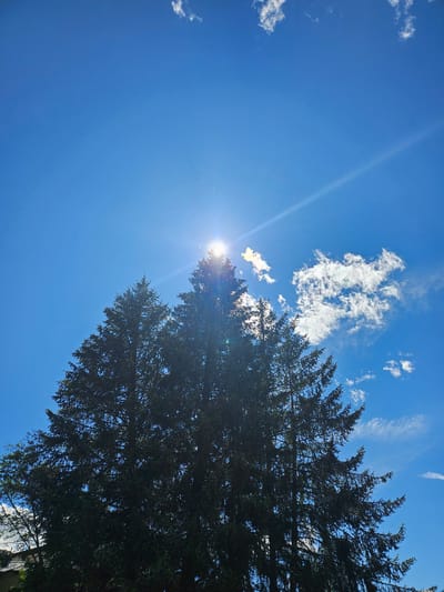 A low-angle, full-frame shot captures the tops of several dark green conifer trees against a vibrant, clear blue sky. The sun is prominently positioned slightly above and to the left of center, partially obscured by the dense foliage of the trees, creating a bright lens flare and radiating sunbeams. Wispy white clouds are scattered across the sky, with a larger cluster visible in the upper right quadrant. The sunlight catches the edges of these clouds, giving them a slightly luminous quality. In the lower left corner, the roof of a building and a sliver of a lighter green tree are visible, suggesting an outdoor environment within a populated area. The overall scene evokes a sunny day, likely in a mountainous or forested region, given the presence of conifer trees. The location is identified as Ponte di Legno, Italy.