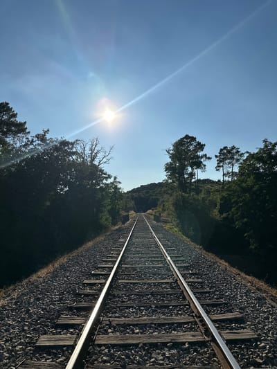 An outdoor, eye-level shot captures a railway track leading towards a tunnel entrance. The track is made of gravel and wooden sleepers, with two parallel metal rails extending into the distance. On either side of the track, dense green foliage and trees line the path, with some taller trees silhouetted against the sky. The sky is a clear, bright blue with the sun prominently visible, casting lens flares and a bright beam of light across the upper portion of the image. The tunnel entrance, a dark archway, is visible at the end of the track, framed by the surrounding trees and hillside. The scene appears to be situated in a rural or natural setting, possibly on the outskirts of Générargues, France, given the description of the tunnel and the natural landscape. There are no people or animals visible in the image.