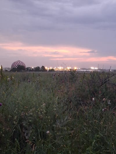 A low-angle, full shot captures a rural landscape at dusk. In the foreground, tall, wild grass, some with seed heads and purple thistle flowers, fills the frame. Beyond the grass, a large, red and white checkered dome structure stands on a slight rise, partially obscured by trees and bushes. Further in the distance, a line of bright lights illuminates an airfield with several aircraft visible. The sky is overcast with soft, pale pink and purple hues from the setting sun. The overall scene depicts an undeveloped area near an airport.
