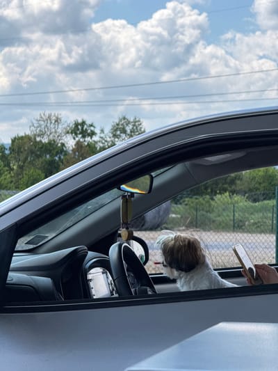 A dog is visible in the driver’s seat of a vehicle, with its head out the window. A person's hand and phone are visible near the dog. Outside the window, there is a fence and greenery. In the reflection of the window, there are clouds and trees. The image appears to be taken in the Ub Municipality, Serbia.