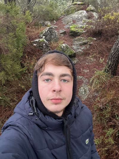 The image depicts a young male in a natural outdoor setting, identified as a location within Ribeira de Pena, Portugal. The subject, likely in his late teens or early twenties, has fair skin, light brown hair, light blue-green eyes, and minimal facial stubble. He wears a dark blue puffer jacket with a visible Lacoste crocodile logo on the left chest, layered over a black hoodie with the hood covering his head. He looks directly at the camera with a neutral expression.
Behind him, an unpaved path winds uphill through a dense, rugged landscape. The ground is predominantly covered with reddish-brown pine needles and scattered green vegetation. Numerous rocks and boulders, many adorned with green moss, line the path and surrounding terrain. Evergreen bushes and trees, including a visible tree trunk on the right, define the wooded environment under ambient, likely overcast, lighting conditions.