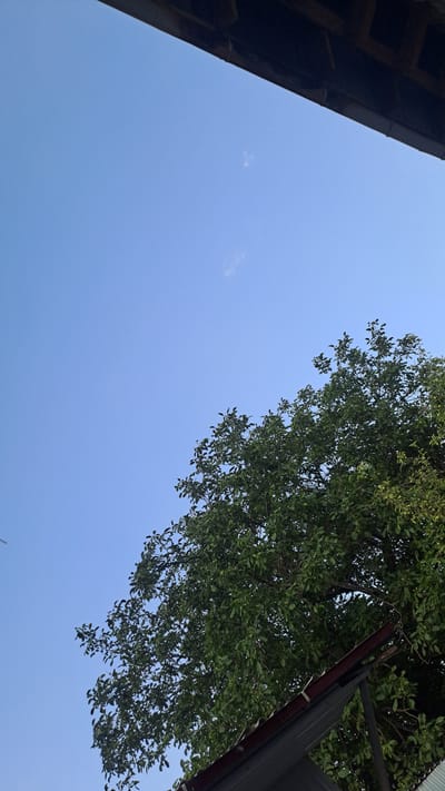 This image captures an outdoor scene looking upwards towards a clear blue sky. In the upper left corner, a portion of a building's roof structure, made of dark wood, is visible. To the right, a dense canopy of green leaves from a tree drapes across the frame. The leaves are vibrant and full, suggesting it is a time of year with abundant foliage. There are a few wispy white clouds scattered in the sky. The angle of the shot, looking up, suggests the viewer is standing beneath the tree and near the building. The bright sky and clear visibility indicate it is daytime, likely a sunny day with pleasant weather. The combination of the building and the tree suggests an urban or suburban environment, possibly a residential area or a park. No people are visible in the frame, and no text is present. The scene evokes a sense of tranquility and a connection with nature. The location context provided, Sülüktü, Kyrgyzstan, does not offer further visual cues within the image itself.