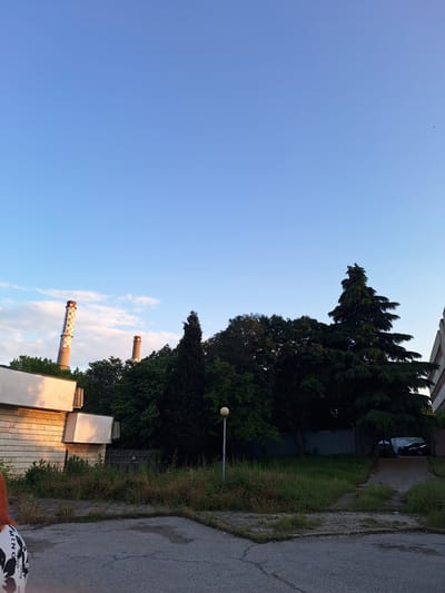 This static image captures an outdoor scene in Ezerovo, Bulgaria, under a clear, light blue sky with sparse white clouds, indicative of early morning or late afternoon. The foreground consists of cracked asphalt and concrete paving, heavily encroached by patches of dry, overgrown grass and weeds. In the lower left, the upper back of a person with reddish-brown hair is visible, wearing a white garment with black text and patterns, including "MINO" and "flouri."
On the left, a two-tiered modernist building with white or light-colored facades and horizontal elements is illuminated by warm, directional sunlight, casting shadows on its lower sections. Behind the building and further into the midground, a dense line of various trees, predominantly dark green, forms a natural screen. Above the treeline on the left, two industrial chimneys are prominent. The left chimney is taller, cylindrical, and constructed from what appears to be concrete or brick, featuring a checkered pattern of lighter-colored squares and exhibiting signs of wear and discoloration. The shorter right chimney, also cylindrical, shows reddish-brown tones.
To the right, a tall, dark green conifer dominates the midground, its top tapering towards the sky. A yellow spherical street lamp stands to the left of this conifer. Further right, partially obscured by trees and a raised, grassy bank, parts of a multi-story residential or commercial building are visible, along with two parked dark-colored vehicles (a van and a car). A "STOP" sign is faintly discernible near the parked vehicles. A metal fence or gate structure is visible through the overgrown vegetation in the mid-left. Small, dark specks, possibly birds or insects, are present in the sky.