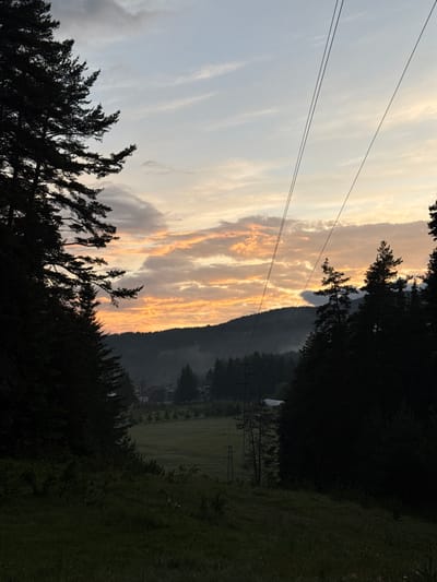 This photograph captures a scenic view of Yundola, Bulgaria, at dusk. The foreground is dominated by the dark silhouettes of pine trees, framing a valley below. In the middle ground, a gentle slope leads down to a grassy field dotted with a few scattered trees and some buildings, suggesting a small settlement. A misty haze hangs over the distant, forested hills, creating a soft, ethereal backdrop. The sky above is a canvas of warm hues, with streaks of orange and pink from the setting sun diffused through scattered clouds, contrasted by patches of pale blue and grey. Two electrical wires stretch diagonally across the upper portion of the frame, a man-made element interrupting the natural landscape. The overall impression is one of serene, natural beauty with a touch of rural solitude.