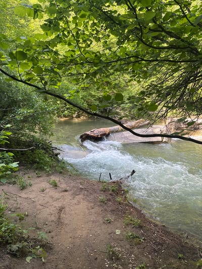 The image shows a view of a small waterfall or dam in a wooded area. Water flows over a concrete structure into a pool below, creating white water. A large log is partially submerged in the pool. The surrounding environment consists of trees and vegetation with a dirt bank at the water's edge on the right. The scene appears to be located in Medven, Bulgaria.