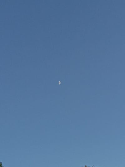 The image shows a clear blue sky with a crescent moon visible slightly to the right of the center. The bottom of the image shows the tops of some trees, suggesting an outdoor scene. There are no people or specific landmarks visible that would indicate the location in Шарпілаўскі сельскі Савет, Belarus, beyond it being an outdoor location with a view of the sky and trees. The lighting suggests it is daytime.